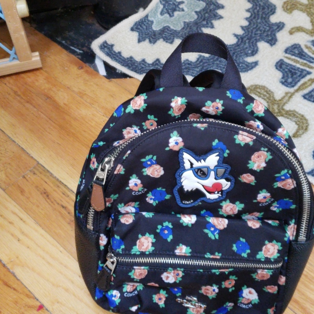 Coach Mini Charlie Backpack